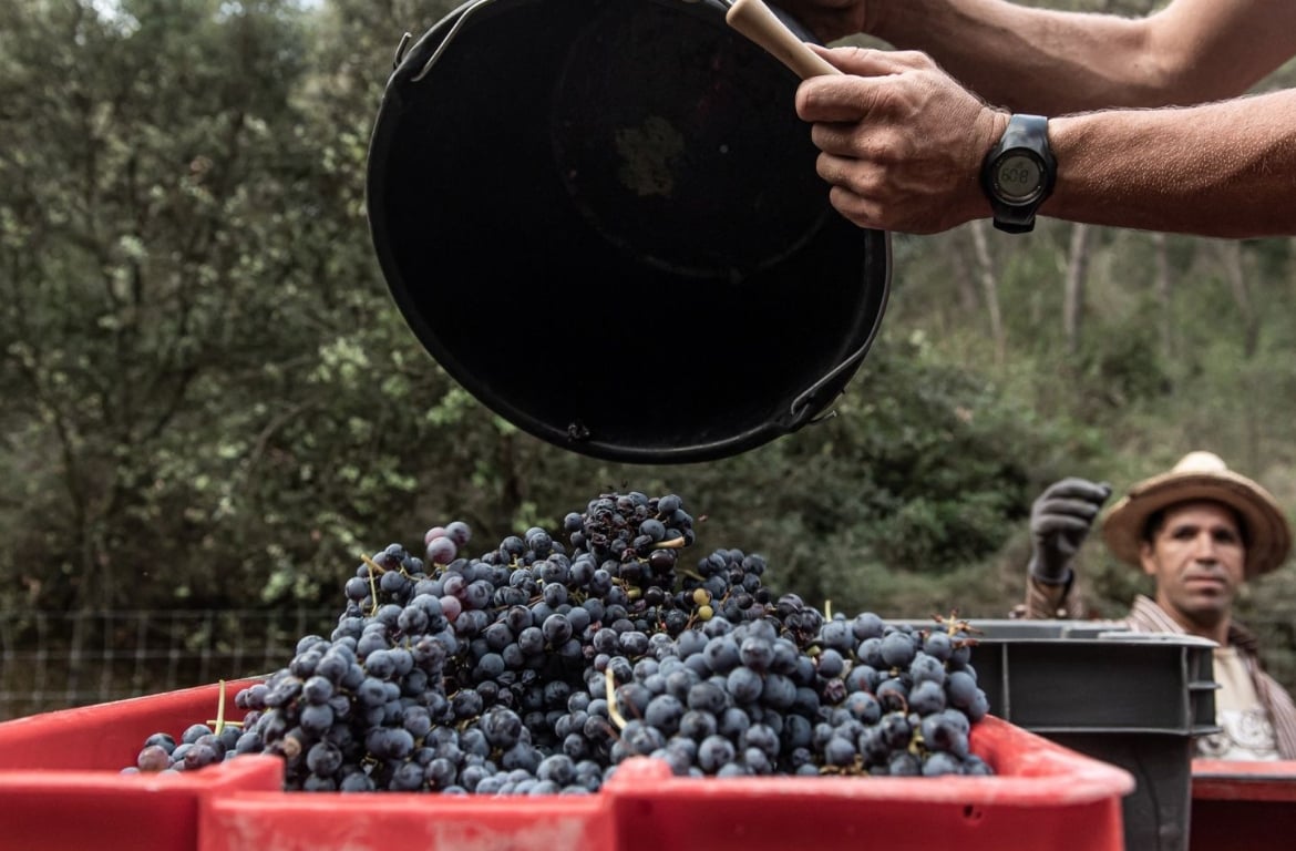 Domaine Dalméran