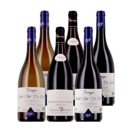 Bourgognes  Best-sellers 100% Bio - 6 bouteilles