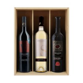 Domaine Vini Coppi - 3 bouteilles & Caisse bois