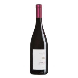 Gamay 348 2018