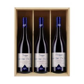 Bourgognes 100% Domaine Hudelot - 3 bouteilles & caisse bois