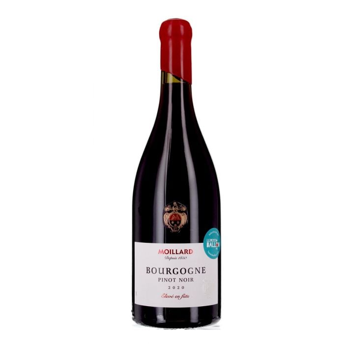 Vin rouge Bourgogne Pinot noir 2020 - Maison Moillard