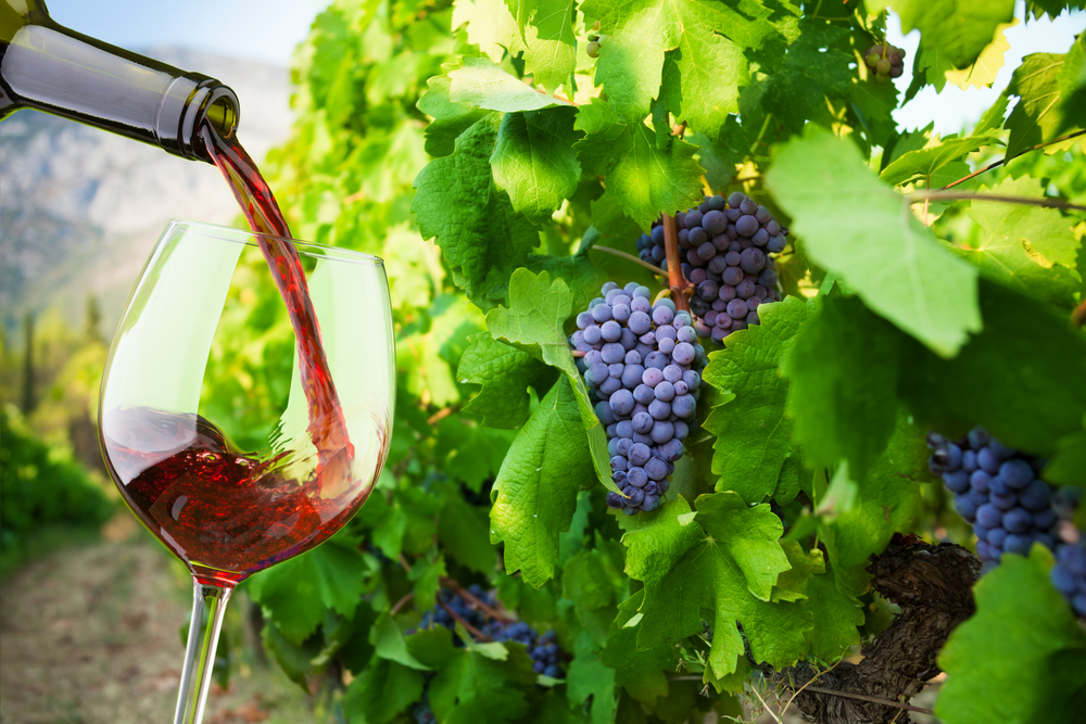 bouteille de vin rouge et verre transparent avec du vin rouge mis sur une  cuve de fermentation de vin avec de nombreux réservoirs de fermentation de  vin placés près du mur de